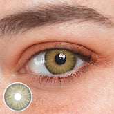Lentilles de contact colorées Chicago Brown